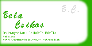 bela csikos business card